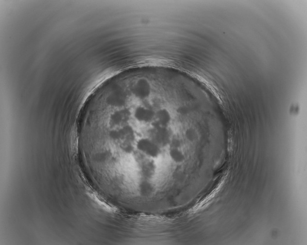 X0000096171117200801251144