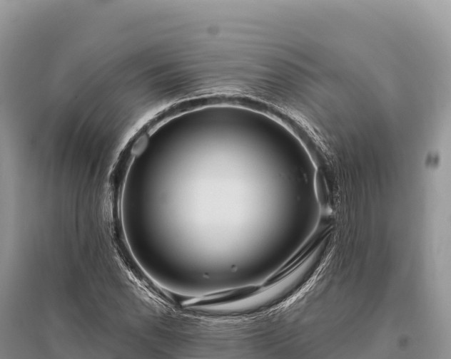 X0000096171118200801251144