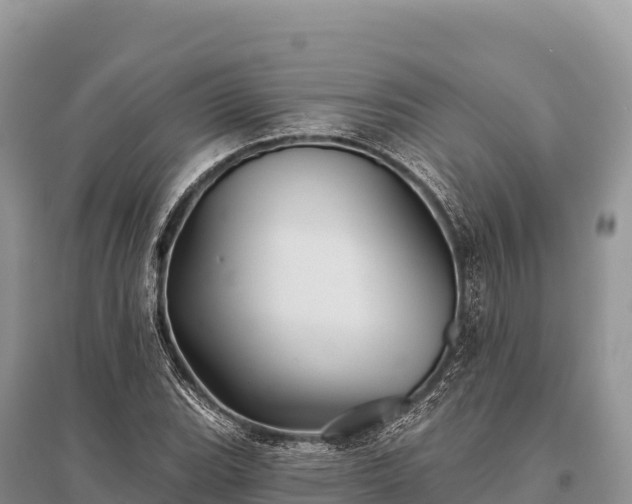 X0000096171119200801251144