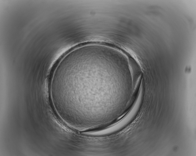 X0000096171120200801251144