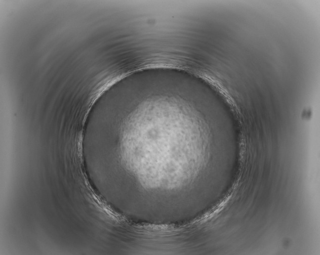 X0000096171121200801251144