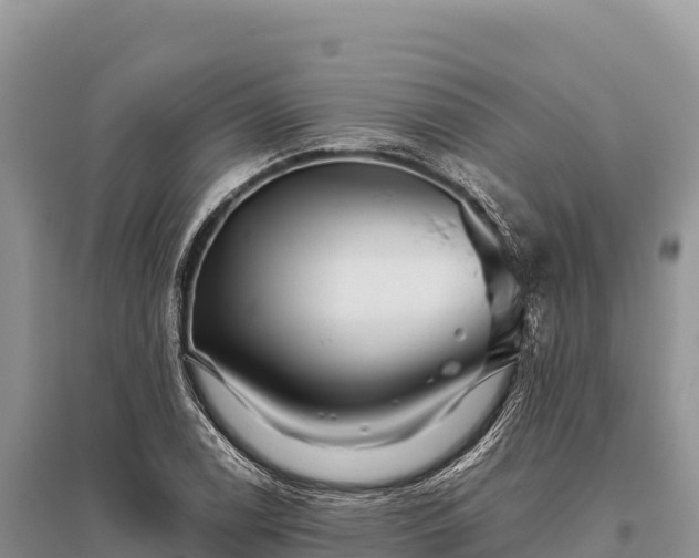 X0000096171122200801251144