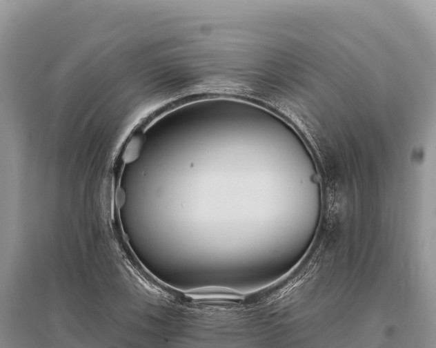 X0000096171123200801251144