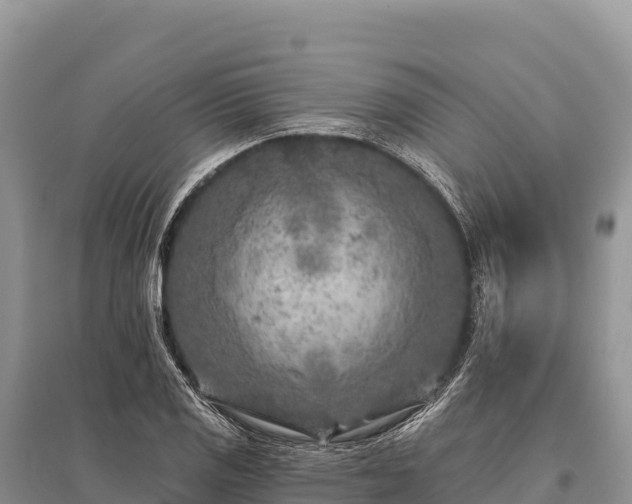 X0000096171125200801251144