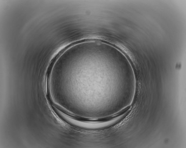 X0000096171127200801251144