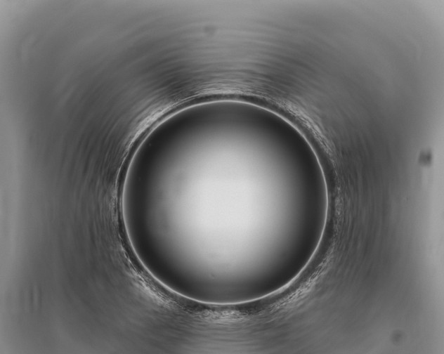 X0000096171129200801251144