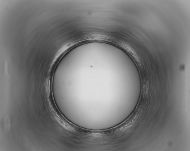 X0000096171130200801251144