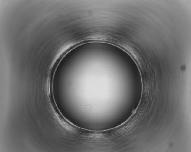 X0000096171131200801251144