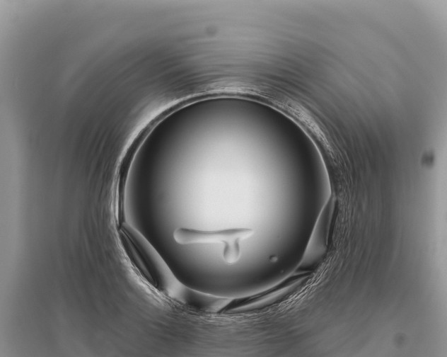 X0000096171132200801251144