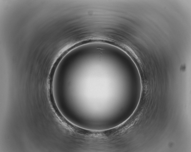 X0000096171133200801251144