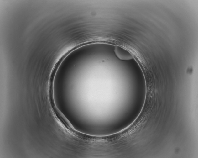 X0000096171135200801251144