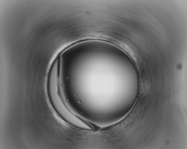 X0000096171136200801251144