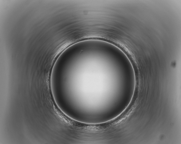 X0000096171137200801251144