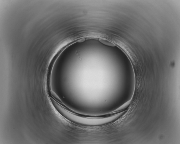 X0000096171139200801251144