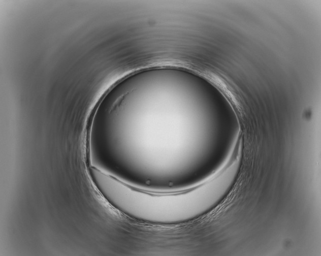 X0000096171140200801251144