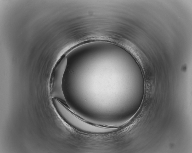 X0000096171141200801251144