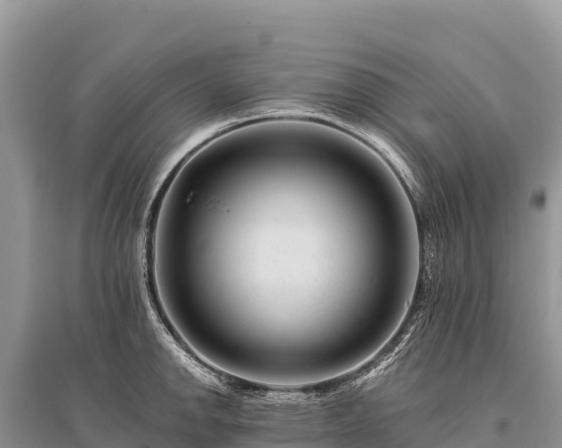 X0000096171142200801251144