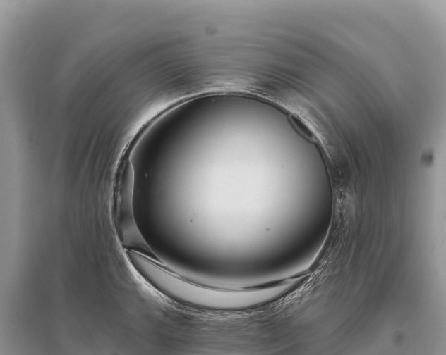 X0000096171143200801251144