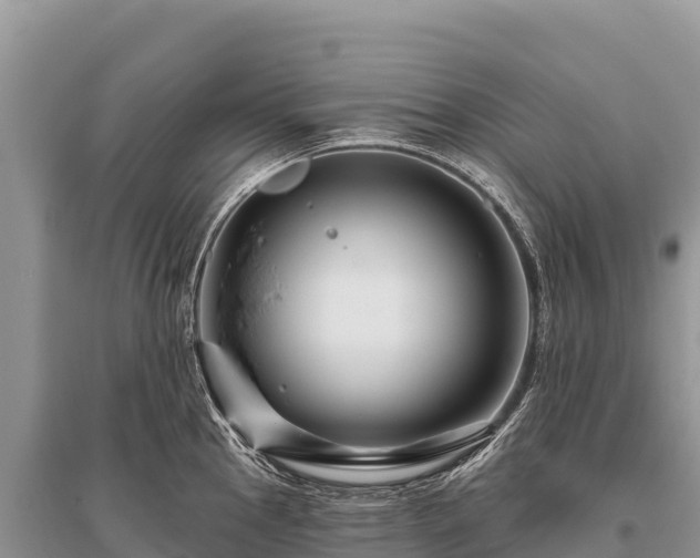 X0000096171145200801251144