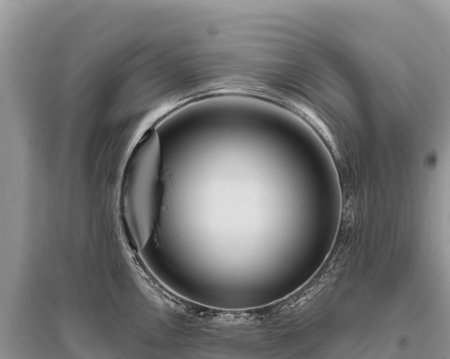 X0000096171146200801251144