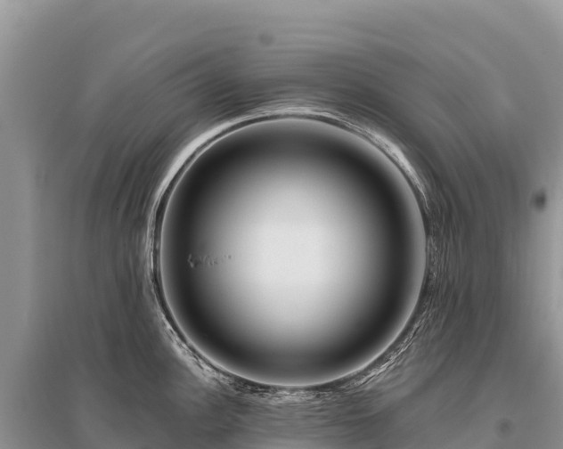 X0000096171148200801251144