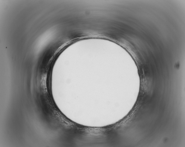 X0000096171150200801251145