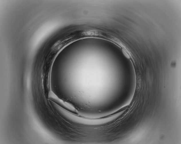 X0000096171151200801251145