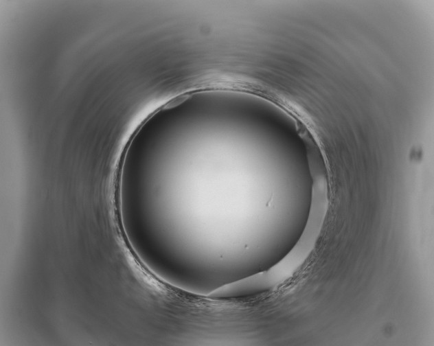 X0000096171152200801251145