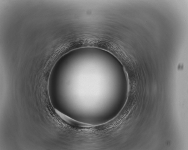 X0000096171153200801251144