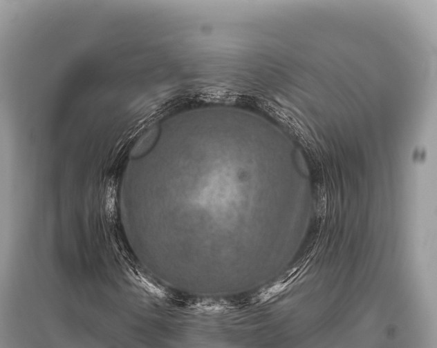 X0000096171154200801251144