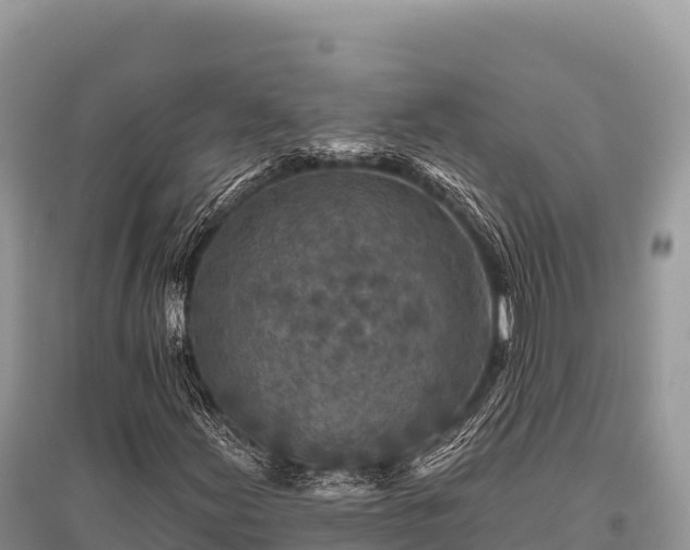 X0000096171155200801251144