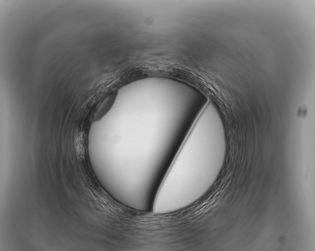 X0000096171156200801251144