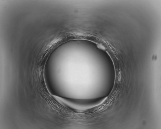 X0000096171157200801251144