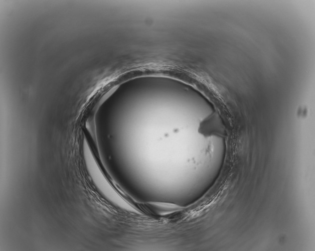 X0000096171160200801251144