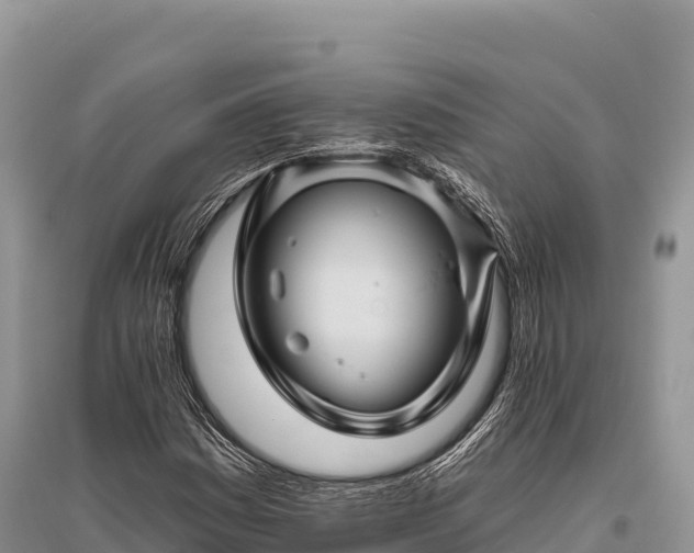 X0000096171161200801251144