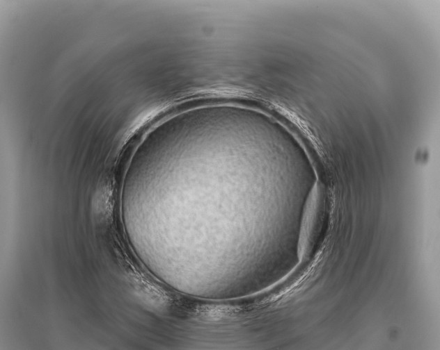 X0000096171163200801251144