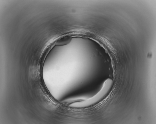 X0000096171164200801251144