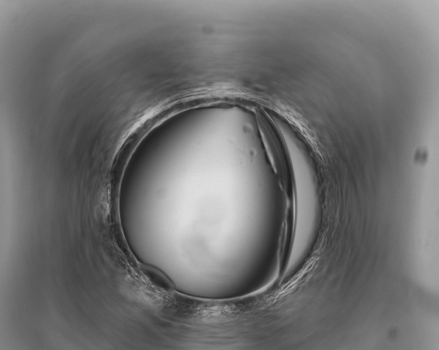 X0000096171165200801251144