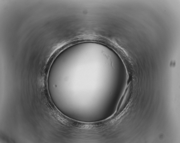 X0000096171166200801251144