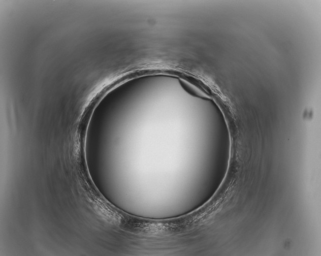 X0000096171167200801251144