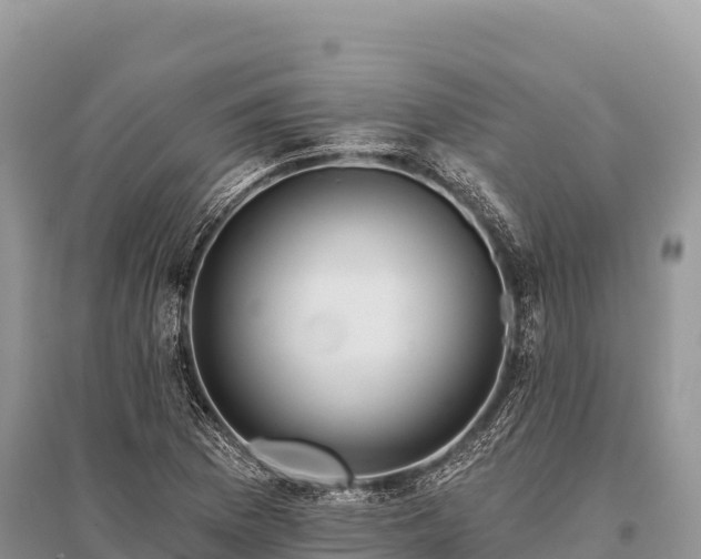 X0000096171169200801251144