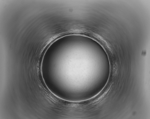 X0000096171170200801251144