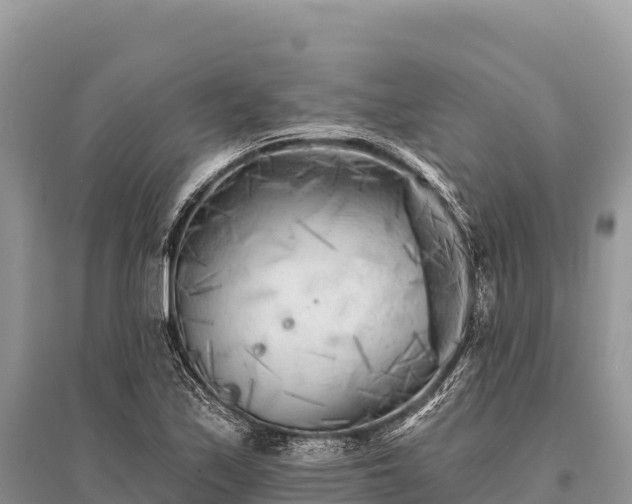 X0000096171171200801251144