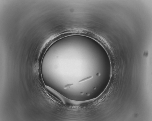 X0000096171172200801251144