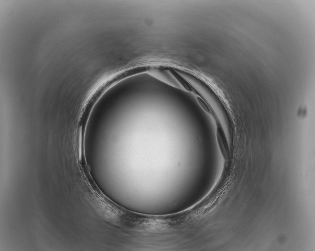 X0000096171175200801251144