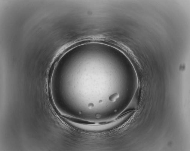 X0000096171176200801251144