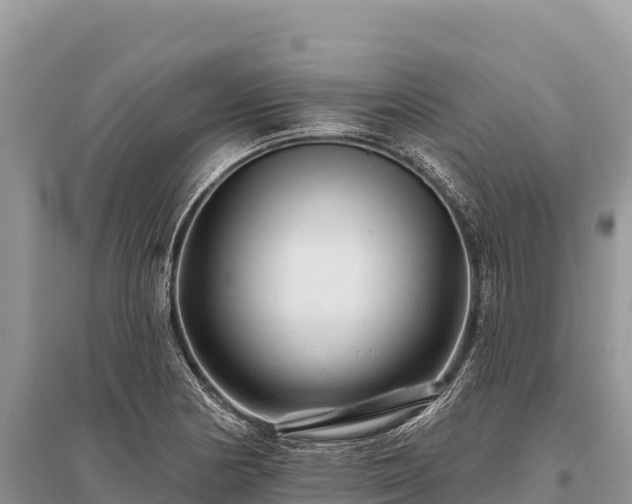 X0000096171178200801251143