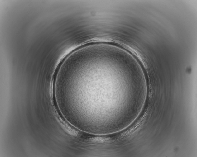 X0000096171179200801251143