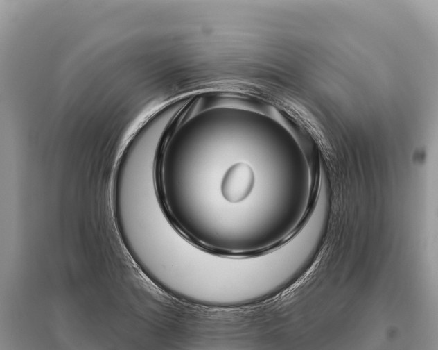 X0000096171180200801251143