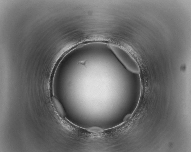 X0000096171181200801251143